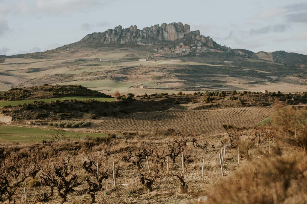 BERTA VALGAÑON PODA 2023-5