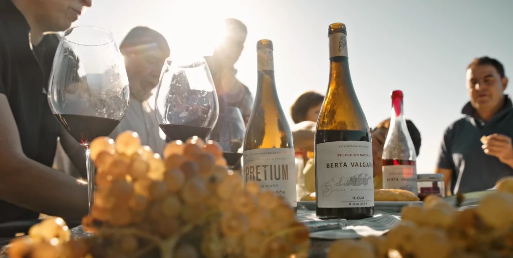 vinos berta valganon 1